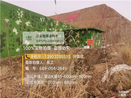渝北星空迷彩墙施工队